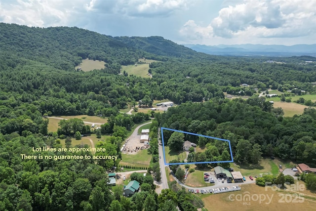 178 Herron Cove Rd, Weaverville, NC 28787 - photo 35