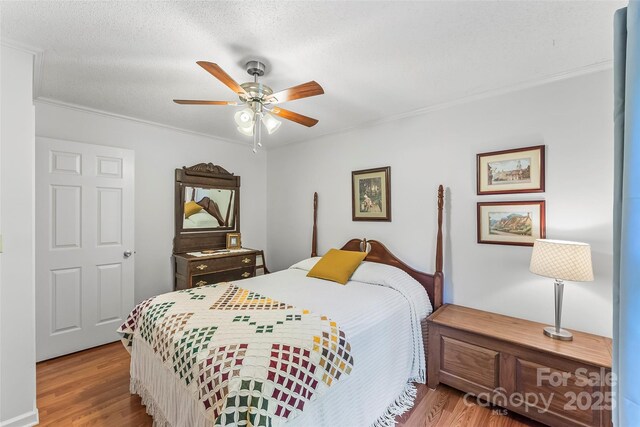 178 Herron Cove Rd, Weaverville, NC 28787 - photo 17