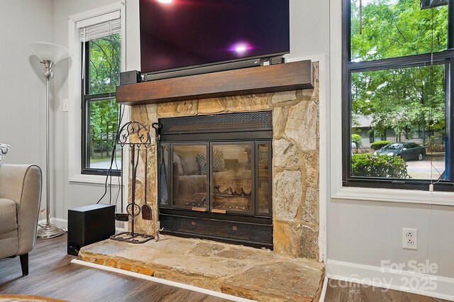 392 Tall Oaks Trl, Fort Mill, SC 29715 - detailed view of baseboards, wood finished floors, and a stone fireplace