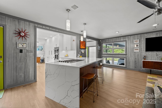 2121 Valencia Ter, Charlotte, NC 28226 - kitchen featuring stainless steel appliances, light wood-type flooring, healthy amount of natural light, a ceiling fan, and wooden walls