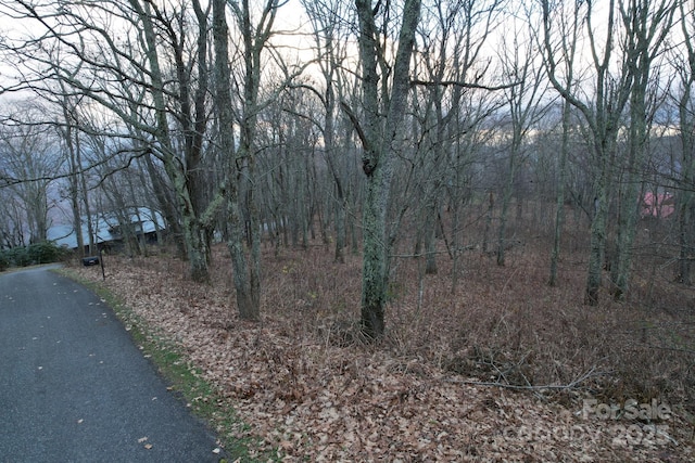 0 Eagle View Cir, Waynesville, NC 28786
