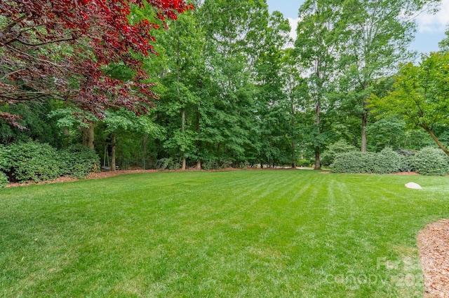 157 Dedham Loop, Mooresville, NC 28117 - view of green lawn