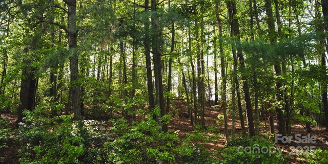 55 W Fairway Dr, Etowah, NC 28729 - photo 2