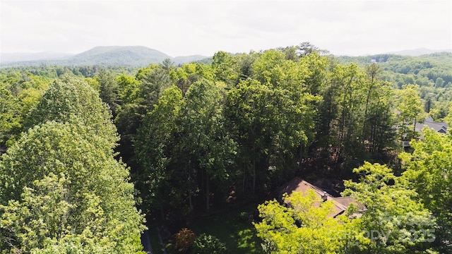 55 W Fairway Dr, Etowah, NC 28729 - photo 23