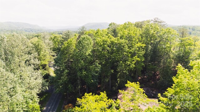 55 W Fairway Dr, Etowah, NC 28729 - photo 24