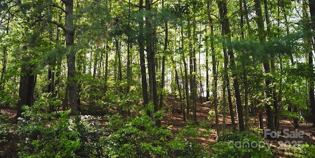 55 W Fairway Dr, Etowah, NC 28729 - photo 5