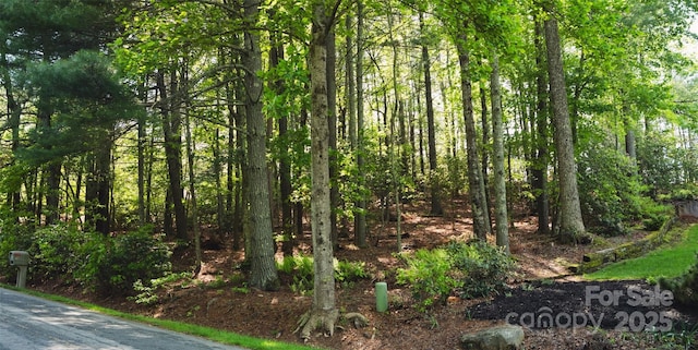 55 W Fairway Dr, Etowah, NC 28729 - photo 6