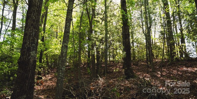 55 W Fairway Dr, Etowah, NC 28729 - photo 13