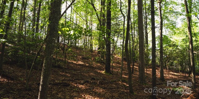 55 W Fairway Dr, Etowah, NC 28729 - photo 16