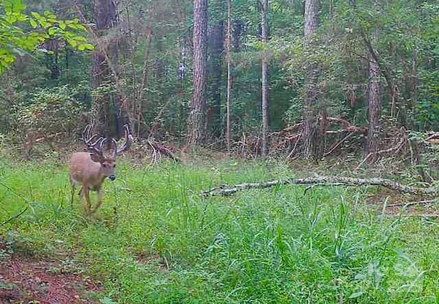 5555 Groves Rd, Union Mills, NC 28167