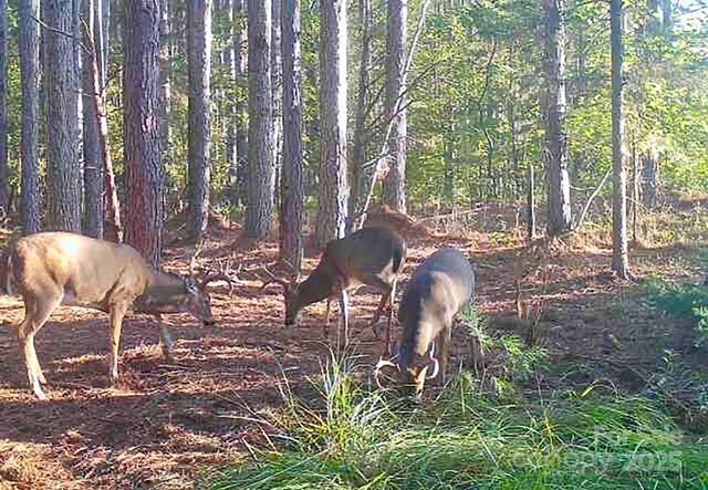 5555 Groves Rd, Union Mills, NC 28167
