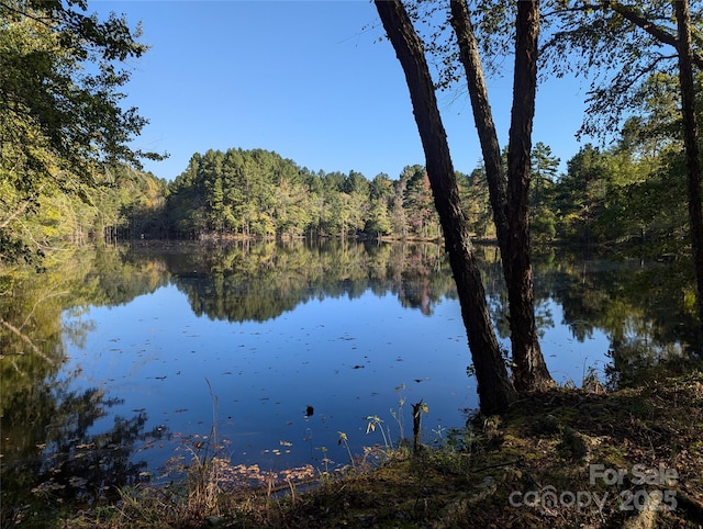 1370 Poole Rd, Salisbury, NC 28146 - water view with a heavily wooded area