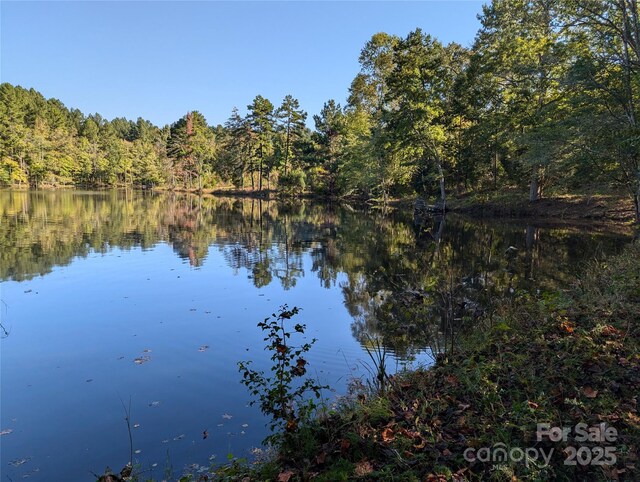 1370 Poole Rd, Salisbury, NC 28146 - water view with a forest