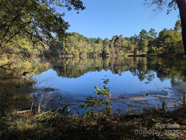1370 Poole Rd, Salisbury, NC 28146 - water view featuring a heavily wooded area