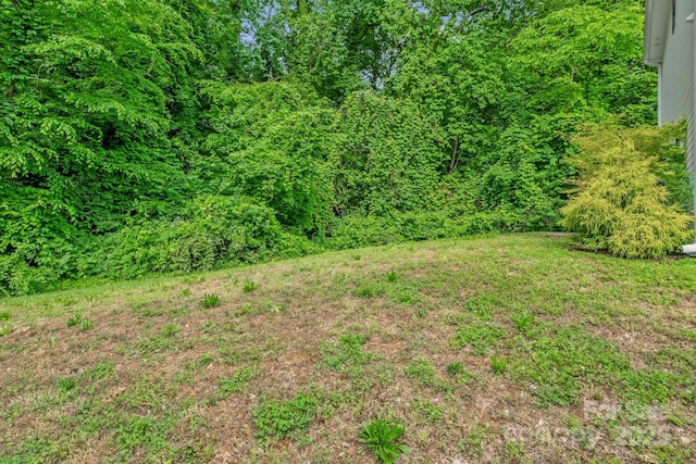 2908 Burgess Dr, Charlotte, NC 28208 - photo 29