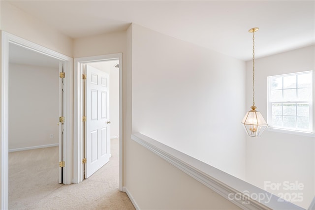2802 Azalea Hills Dr, Charlotte, NC 28262 - photo 19