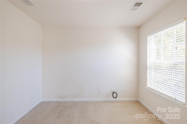 2802 Azalea Hills Dr, Charlotte, NC 28262 - photo 28