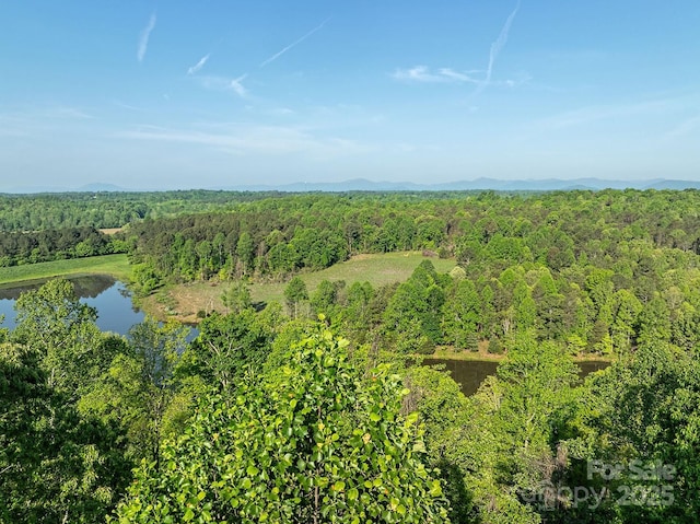 4444 Groves Rd, Union Mills, NC 28167 - photo 3