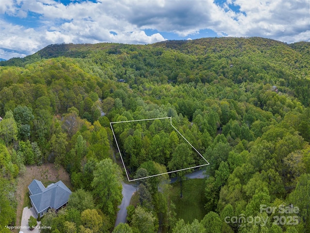 00 Hoot Owl Rdg, Waynesville, NC 28786