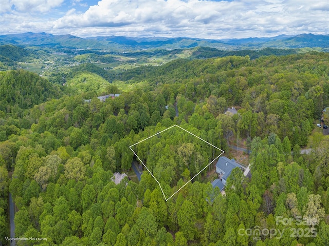 00 Hoot Owl Rdg, Waynesville, NC 28786