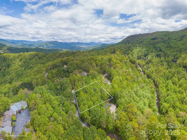 00 Hoot Owl Rdg, Waynesville, NC 28786