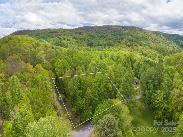 00 Hoot Owl Rdg, Waynesville, NC 28786