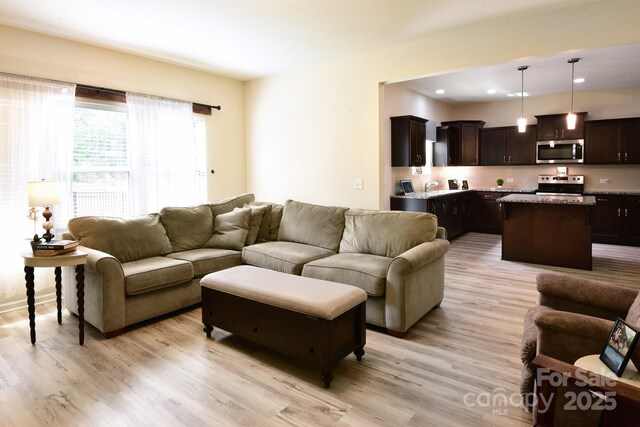 161 Old Harbor Dr, Mount Gilead, NC 27306 - living area with light wood finished floors and recessed lighting