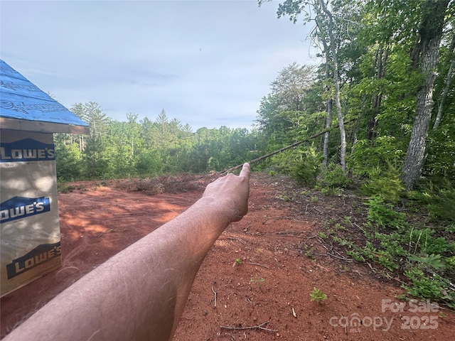 LOT2 Smawley Rd, Bostic, NC 28018 - exterior view of a wooded view