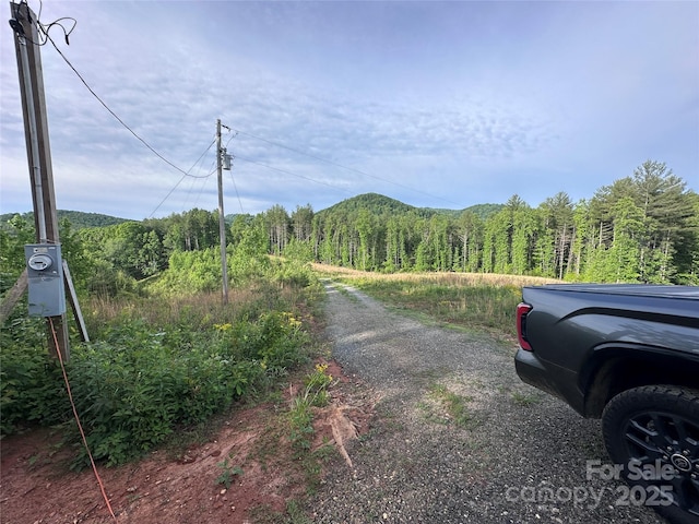 LOT2 Smawley Rd, Bostic, NC 28018 - view of dirt / gravel road featuring a forest view