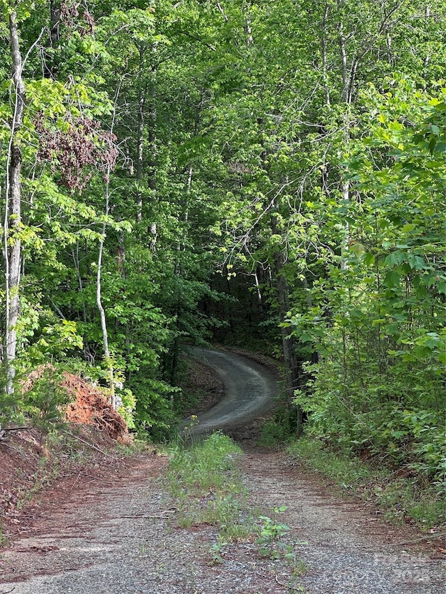 LOT2 Smawley Rd, Bostic, NC 28018 - view of dirt / gravel road with a wooded view