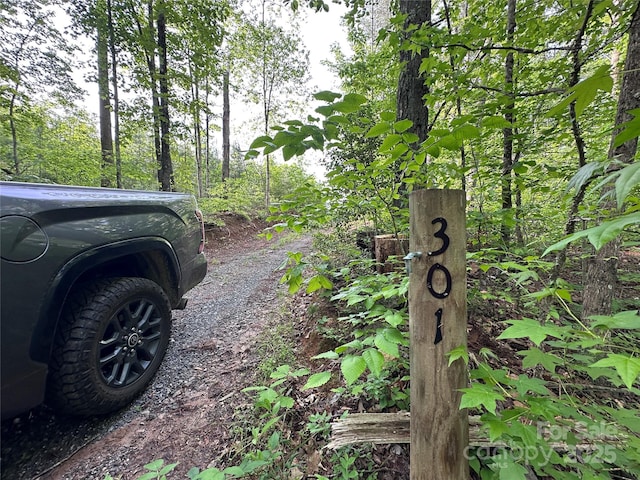 LOT2 Smawley Rd, Bostic, NC 28018 - view of road