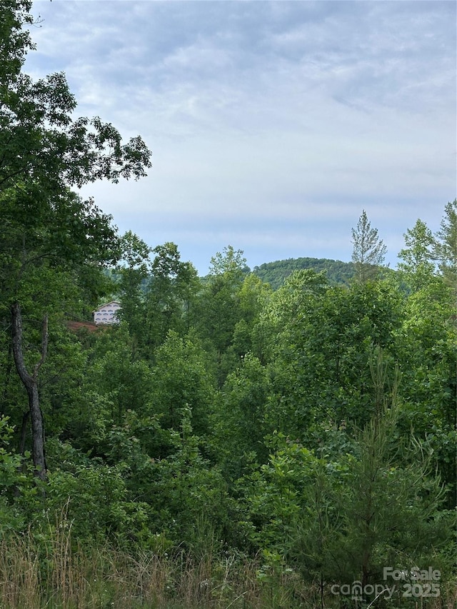 LOT2 Smawley Rd, Bostic, NC 28018 - view of tree filled area