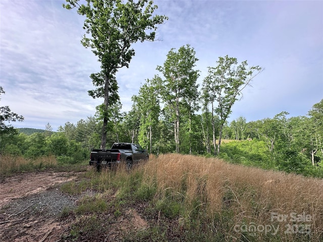 LOT2 Smawley Rd, Bostic, NC 28018 - view of wooded area