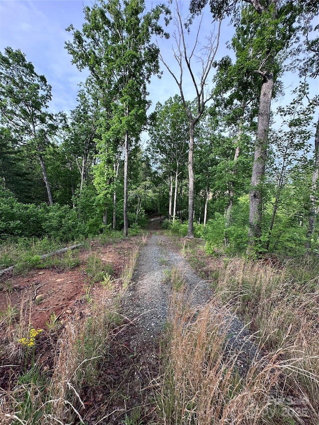 LOT2 Smawley Rd, Bostic, NC 28018 - view of road