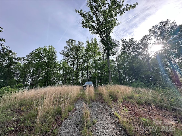 LOT2 Smawley Rd, Bostic, NC 28018 - view of road