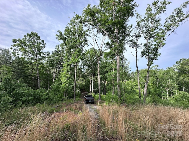 LOT2 Smawley Rd, Bostic, NC 28018 - view of wooded area