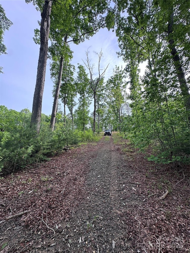 LOT2 Smawley Rd, Bostic, NC 28018 - view of dirt / gravel road