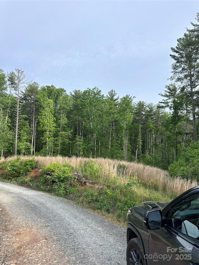 LOT2 Smawley Rd, Bostic, NC 28018 - view of street featuring a forest view