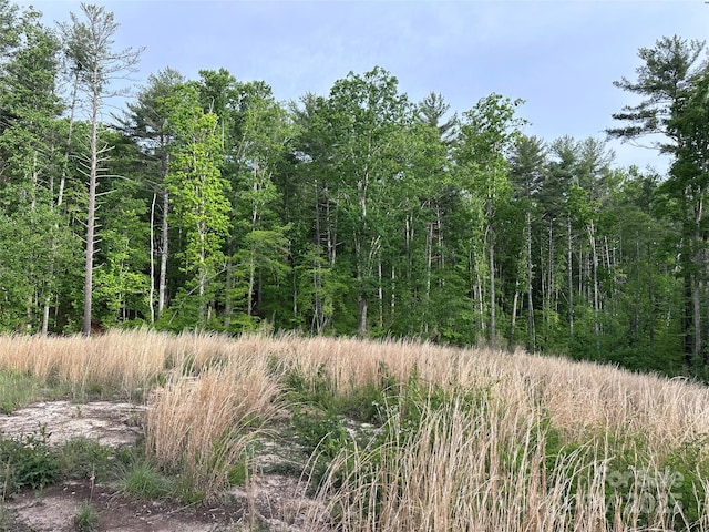 LOT2 Smawley Rd, Bostic, NC 28018 - view of tree filled area