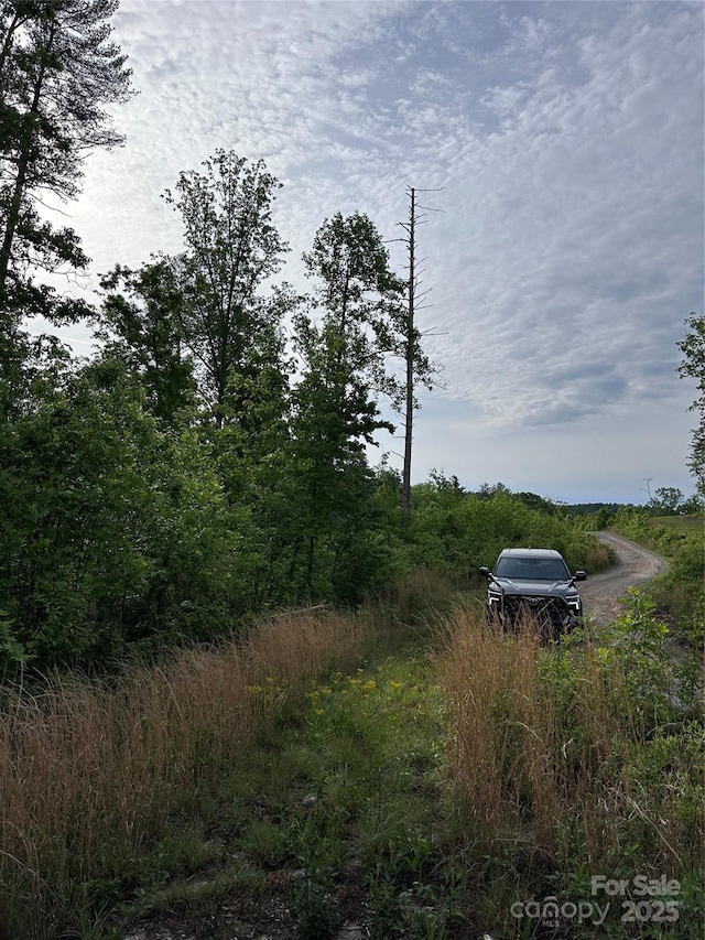 LOT2 Smawley Rd, Bostic, NC 28018 - view of yard