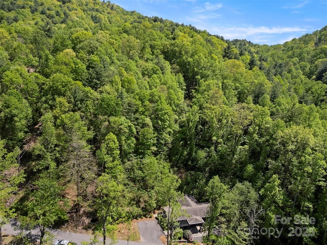 403 Baird Cove Rd, Asheville, NC 28804 - photo 19