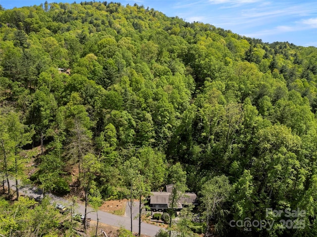 403 Baird Cove Rd, Asheville, NC 28804 - photo 20
