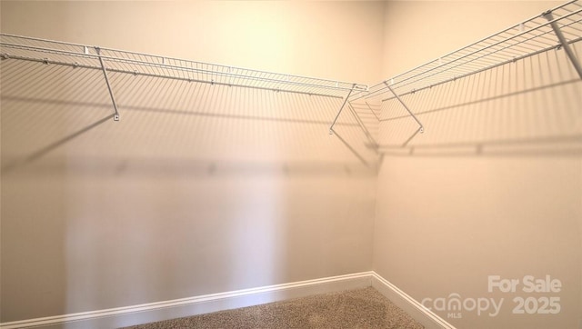 walk in closet with carpet
