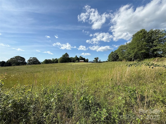 33 Honeysuckle Ln, Taylorsville, NC 28681 - view of local wilderness with rural landscape