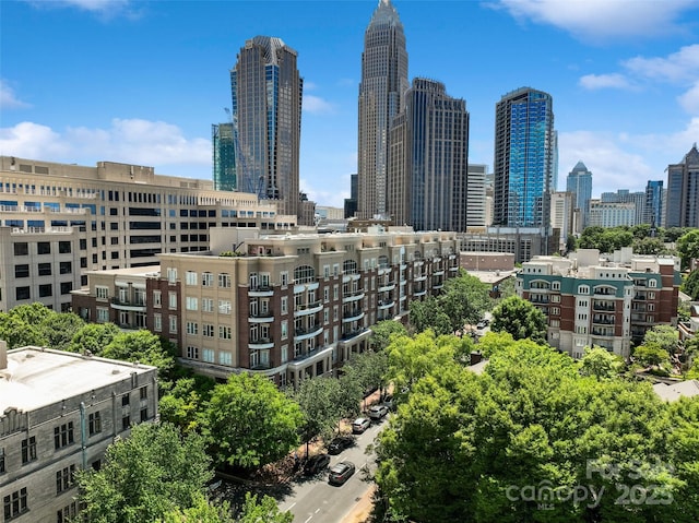 400 N Church St Unit 226, Charlotte, NC 28202 - view of city skyline