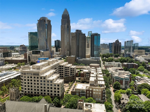 400 N Church St Unit 226, Charlotte, NC 28202 - skyline view