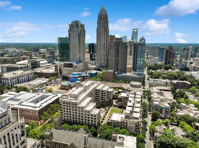 400 N Church St Unit 226, Charlotte, NC 28202 - view of city skyline