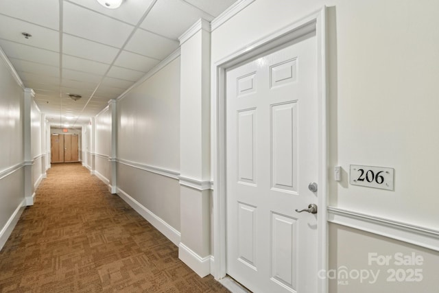 hall featuring carpet floors, baseboards, and a drop ceiling