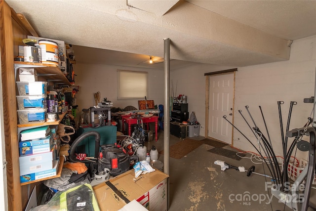 basement with concrete block wall