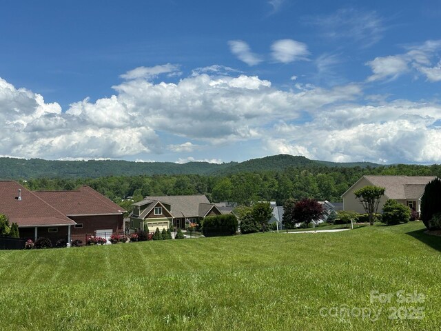 0 Welding Way Unit 128, Hendersonville, NC 28792 - mountain view